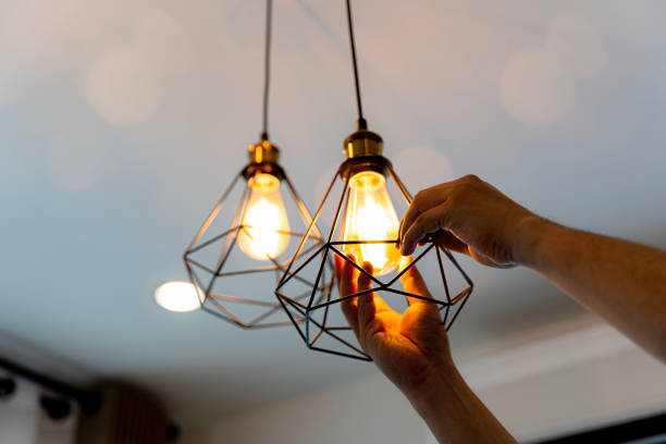 Best Affordable Electrician  in Lacoochee, FL
