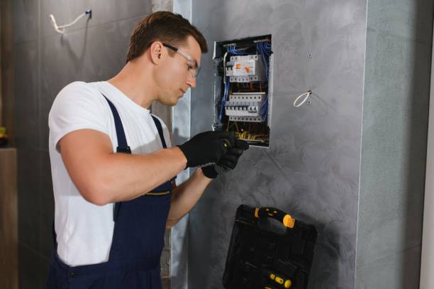 Best Electrical Upgrades for Homes  in Lacoochee, FL